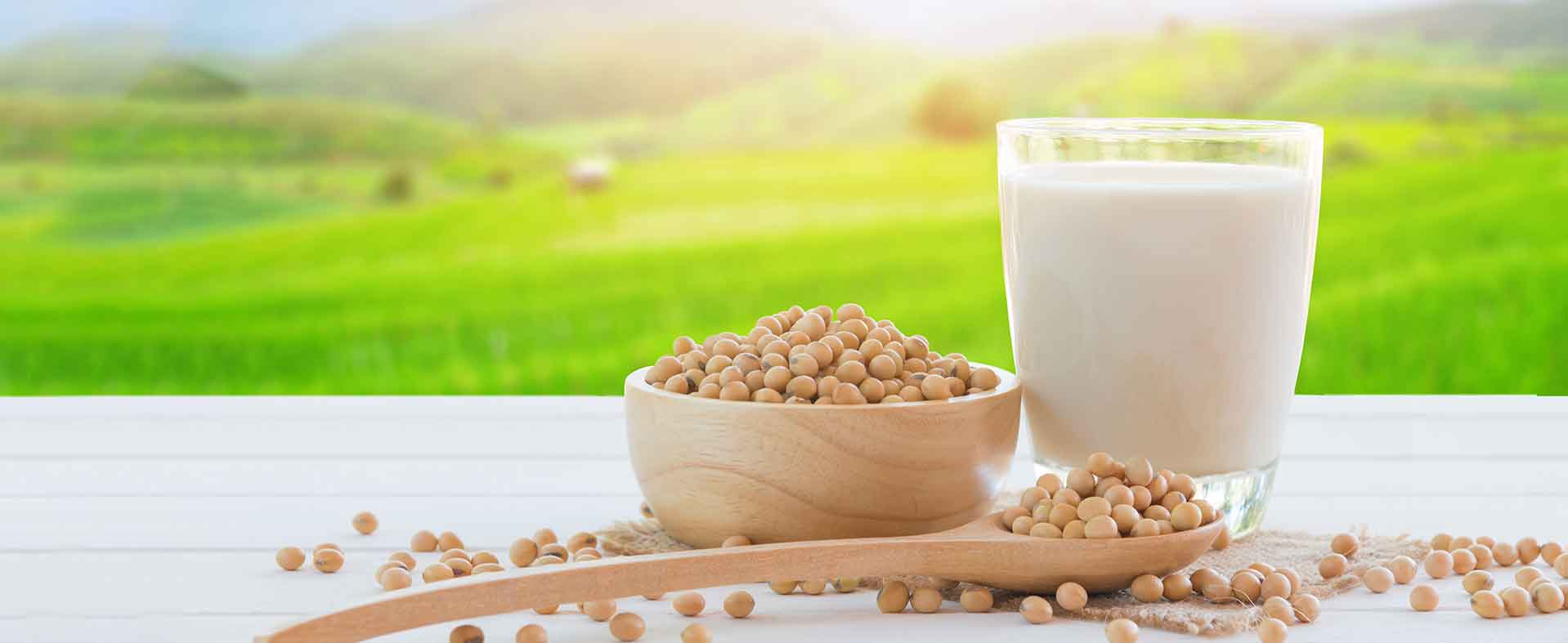 大豆粉乳の持続可能性