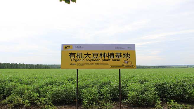 大豆生产ベース